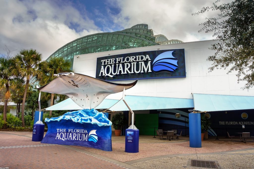 Tampa, Florida, USA - January 11, 2020 : Larga manta ray sculpture at the entrance to the Florida Aquarium, home to more than 7,000 aquatic plants and animals from Florida and all over the world.